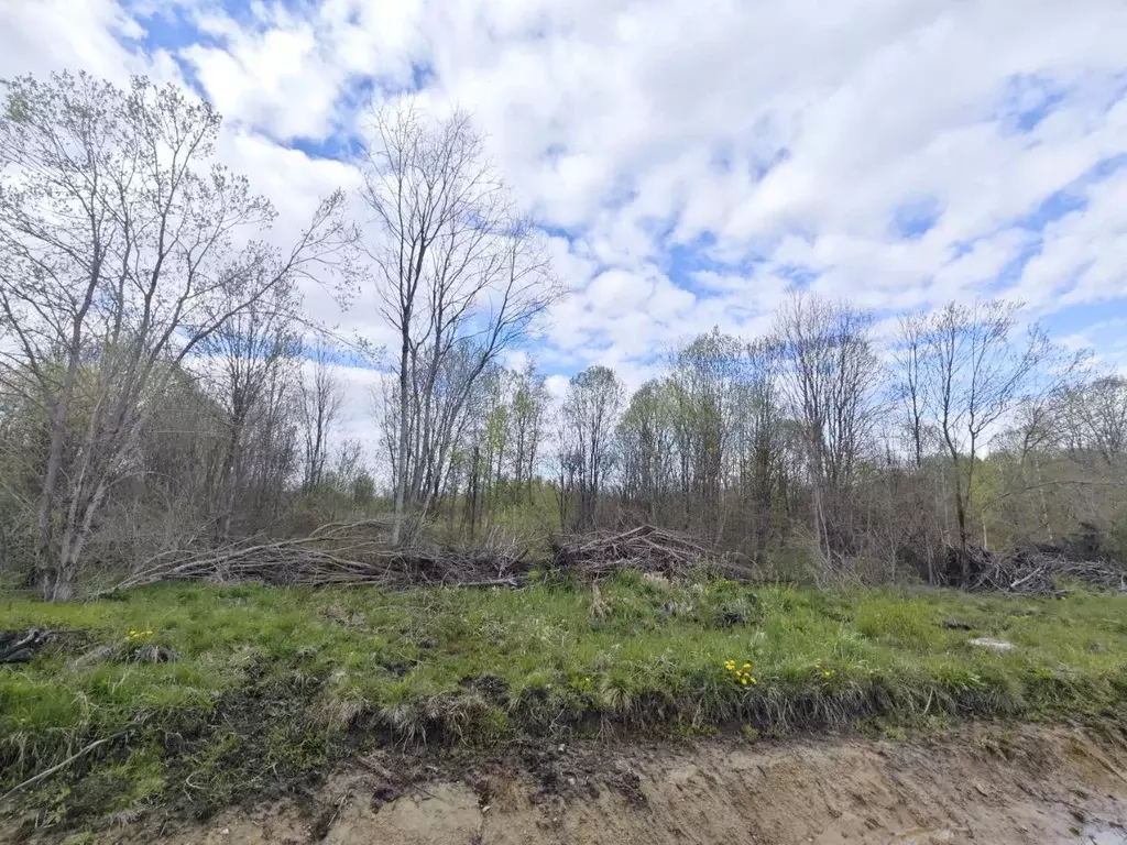 Участок в Новгородская область, Новгородский район, Ермолинское с/пос, ... - Фото 2
