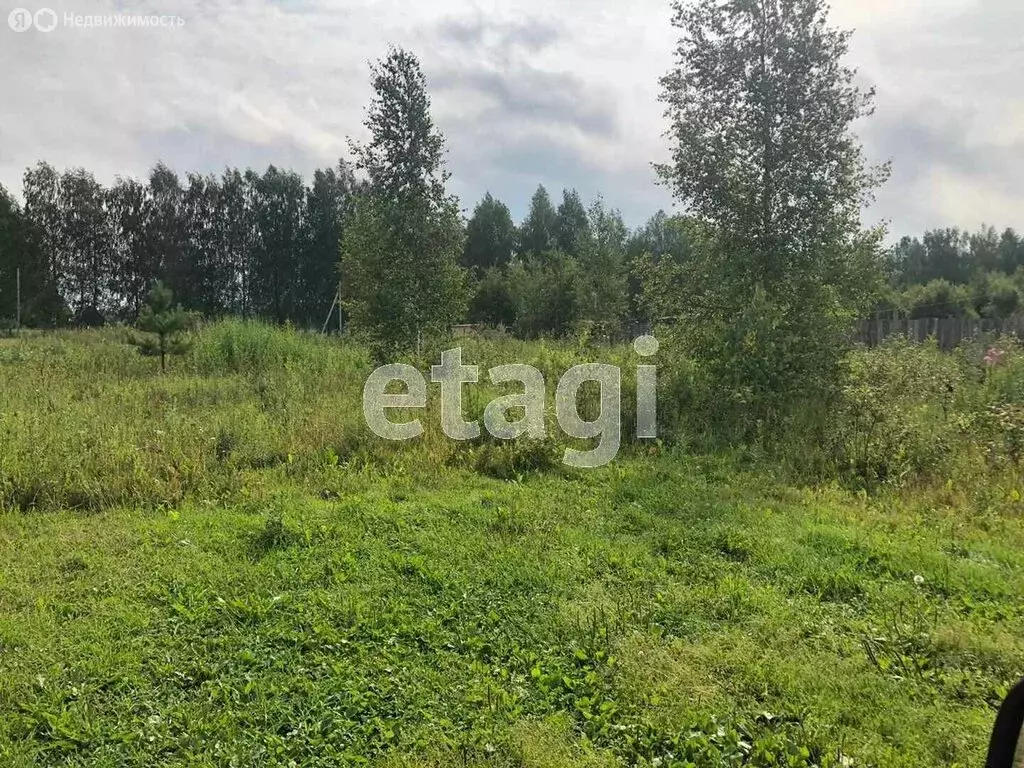 Участок в Судиславский район, Расловское сельское поселение, деревня ... - Фото 2