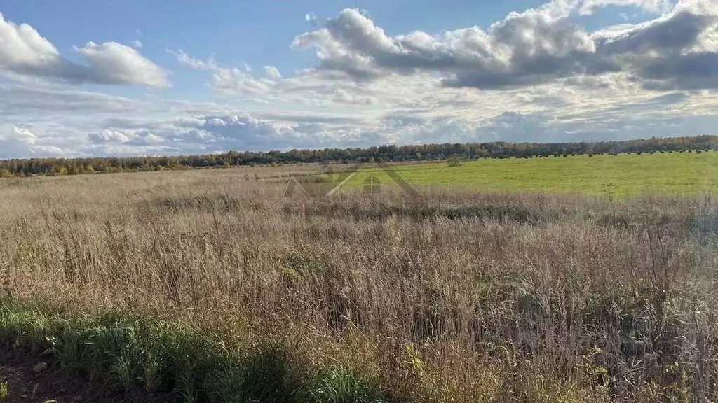 Участок в Новгородская область, Чудовский район, Трегубовское с/пос, ... - Фото 2