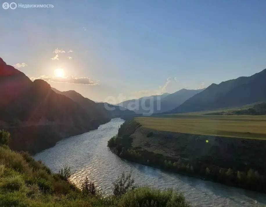 Участок в Онгудайский район, село Хабаровка (53 м) - Фото 0