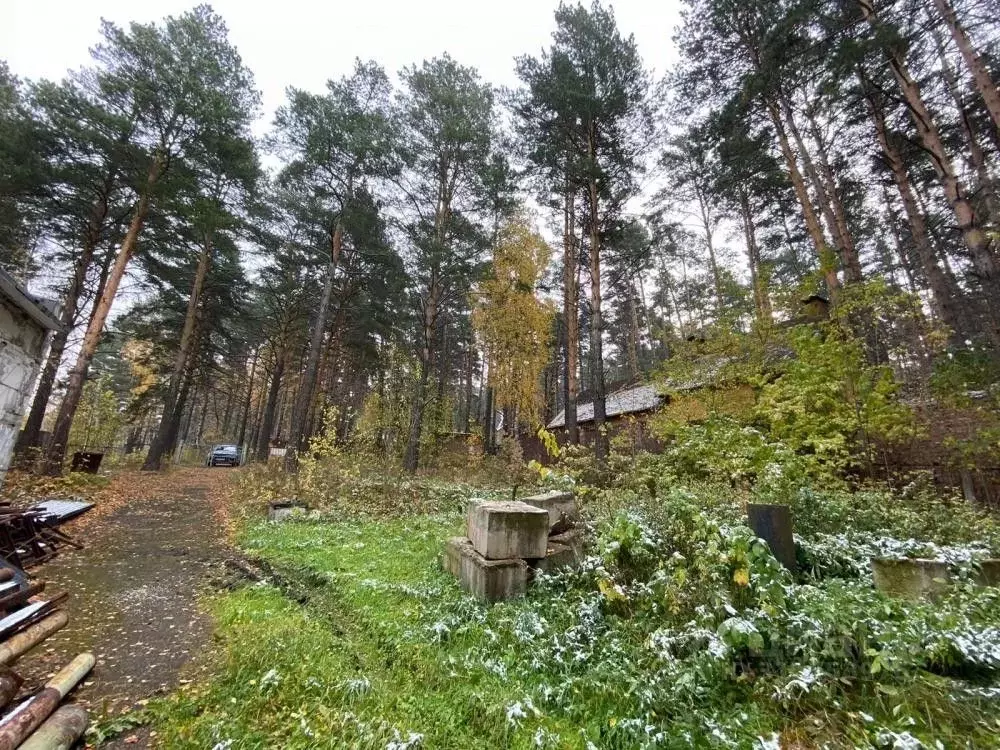 Участок в Кемеровская область, Кемеровский муниципальный округ, д. ... - Фото 1