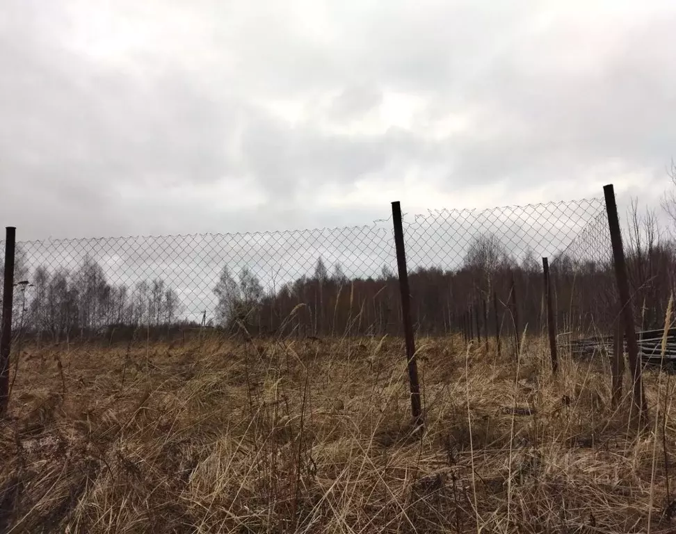 Участок в Калужская область, Перемышльский муниципальный округ, ... - Фото 2