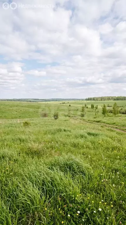 Участок в Алтайский район, Айский сельсовет, село Ая (2500 м) - Фото 2
