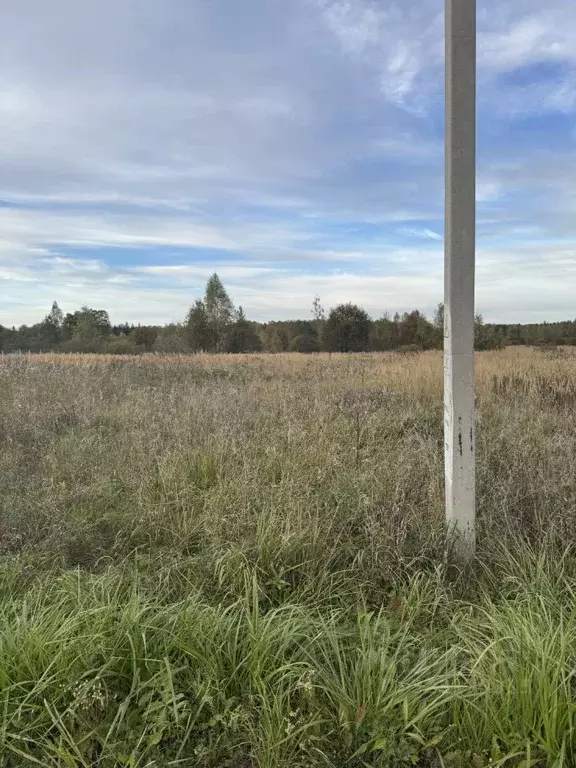 Участок в Московская область, Сергиево-Посадский городской округ, ... - Фото 2