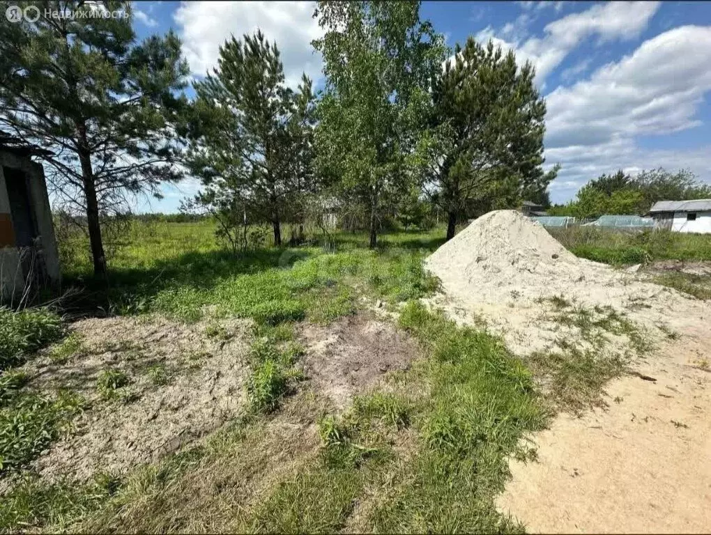 Участок в Нетьинское сельское поселение, СДТ Весна (6 м) - Фото 2