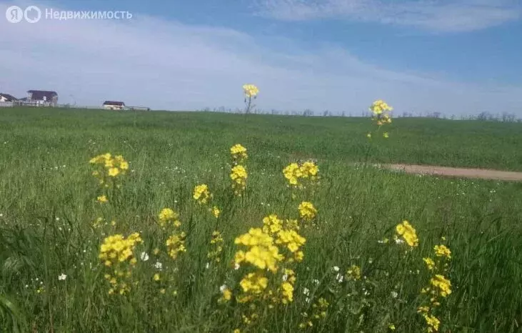 Участок в Пенза, садовое некоммерческое товарищество Дубрава (8 м) - Фото 0