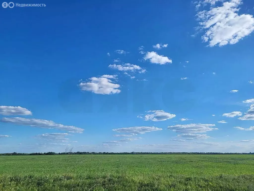 Участок в Аксайский район, станица Старочеркасская (350 м) - Фото 1