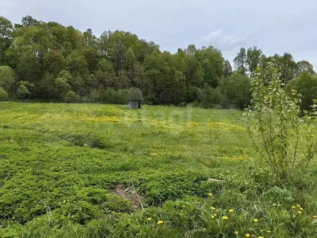 Участок в Калужская область, Боровский муниципальный округ, д. ... - Фото 1