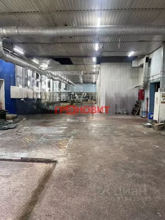 Помещение свободного назначения в Новосибирская область, Новосибирский ... - Фото 1