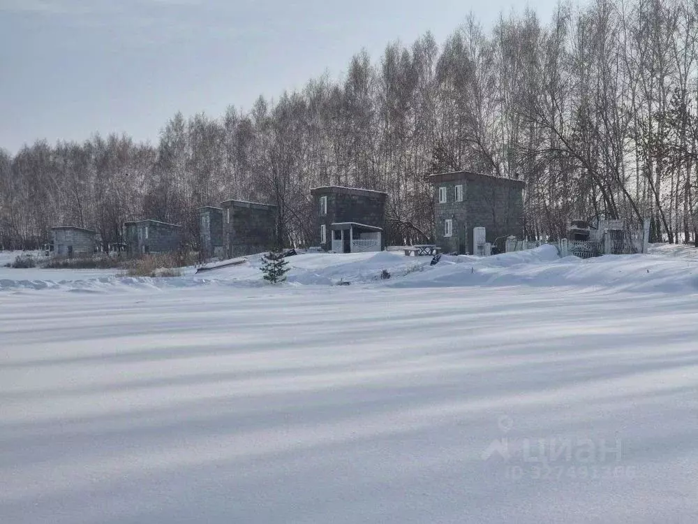 Помещение свободного назначения в Ульяновская область, Сенгилеевский ... - Фото 1
