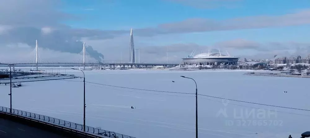 1-к кв. Санкт-Петербург наб. Макарова, 58с2 (45.0 м) - Фото 2