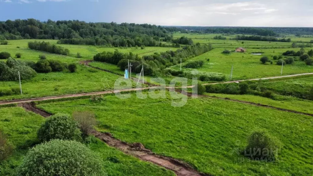 Участок в Костромская область, Красносельский район, Шолоховское ... - Фото 0