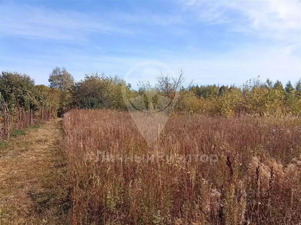 Участок в Рязанская область, Скопин городской округ, д. Ивановка ул. ... - Фото 0