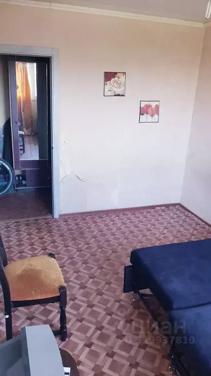 Комната Санкт-Петербург просп. Луначарского, 80К5 (15.0 м) - Фото 1