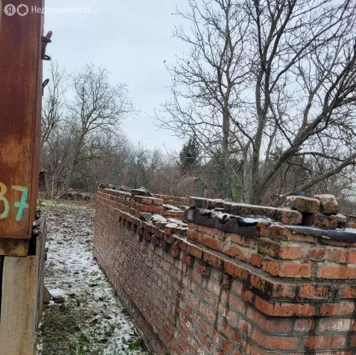 Участок в Истоминское сельское поселение, СНТ Лазурный, 979 (4 м) - Фото 1