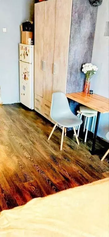 Студия Иркутская область, Иркутск ул. Авиастроителей, 28А/2 (22.7 м) - Фото 1