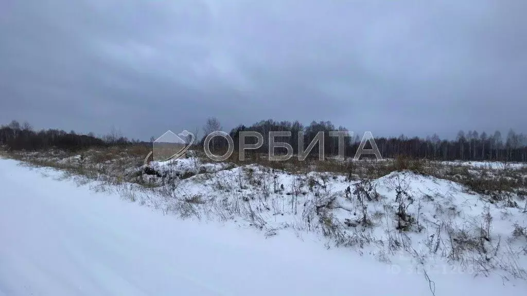 Участок в Тюменская область, Нижнетавдинский район, с. Носырево  ... - Фото 0
