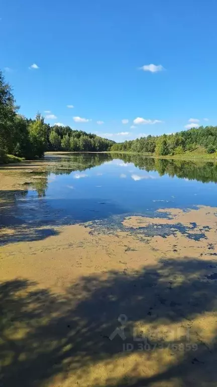 Участок в Самарская область, Красноярский район, Старая Бинарадка ... - Фото 0