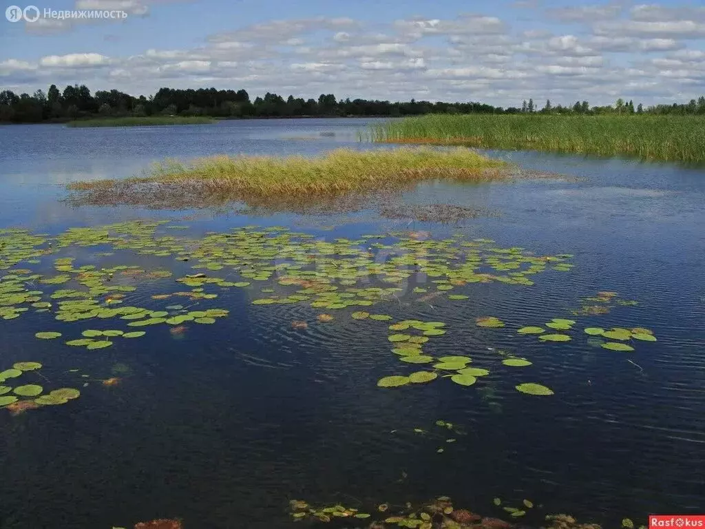 Участок в Самара, посёлок 113 километр, Собинская улица (6 м) - Фото 1