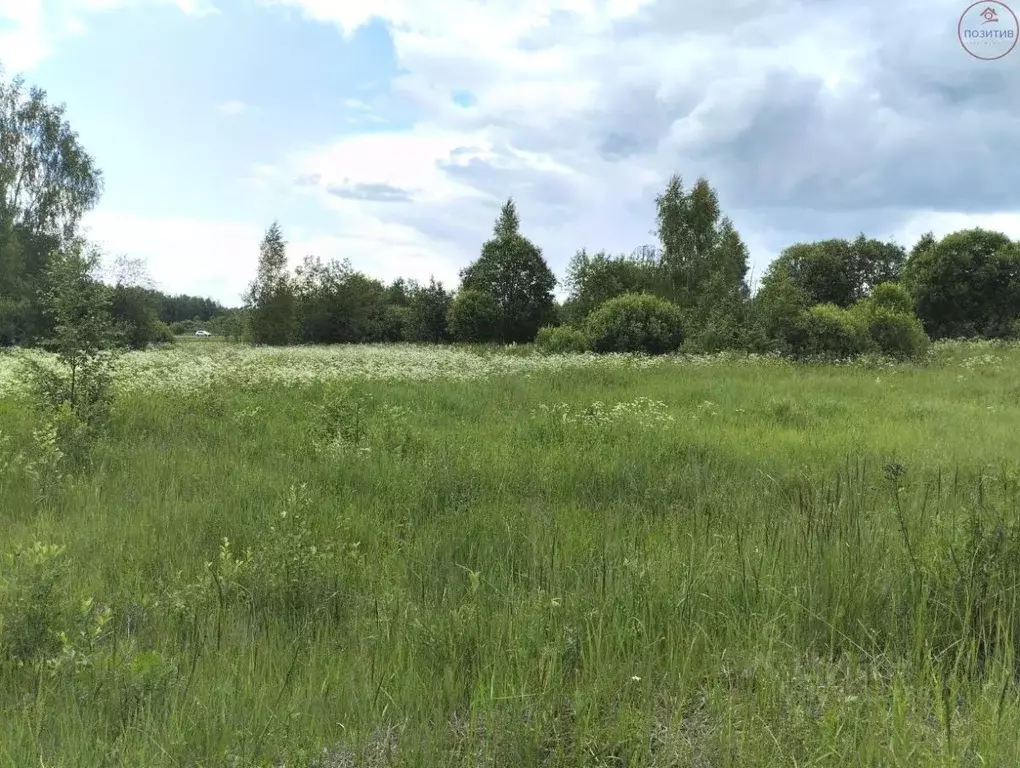 Участок в Ярославская область, Гаврилов-Ямский муниципальный округ, ... - Фото 2