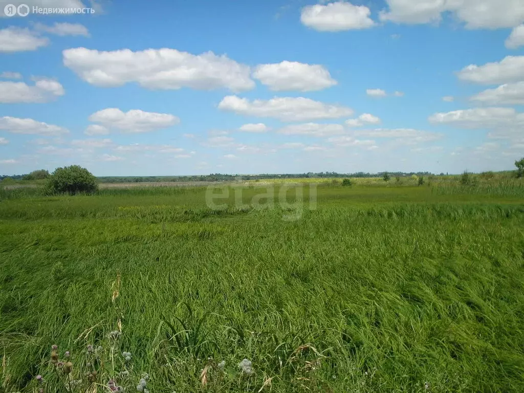 Участок в Ухта, Калиновая улица (8 м) - Фото 2