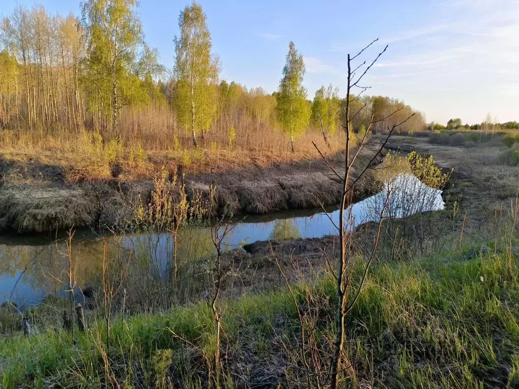 Участок в Тюменская область, Тюменский район, с. Каменка  (10.0 сот.) - Фото 1