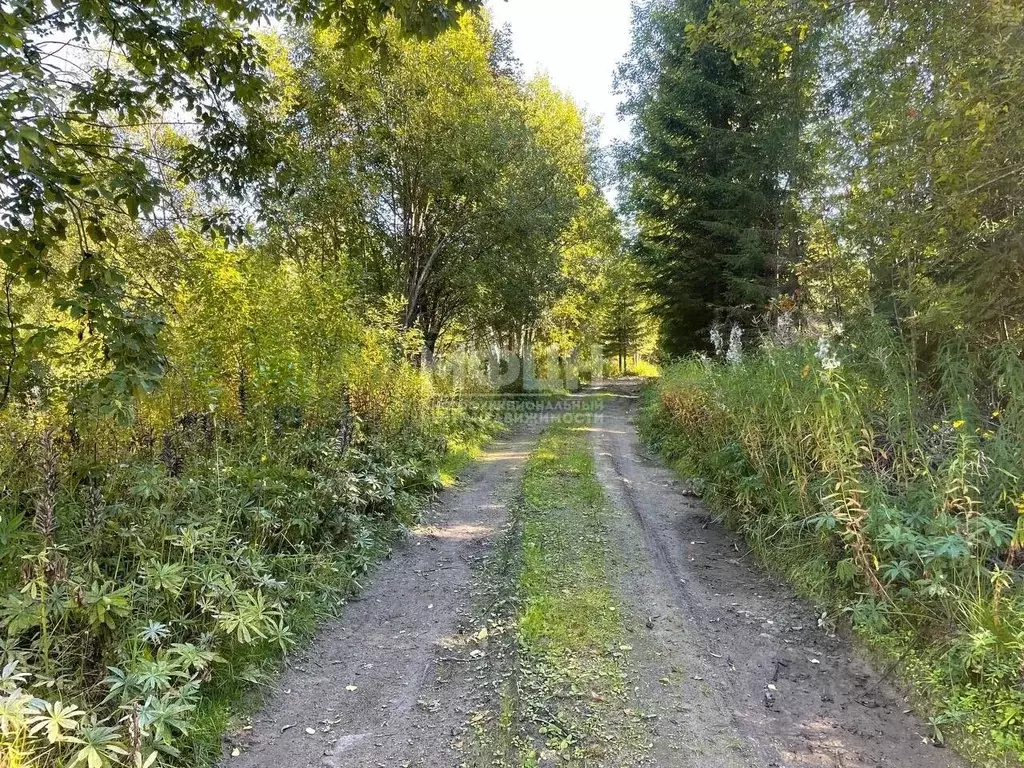 Участок в Карелия, Прионежский район, Нововилговское с/пос, ... - Фото 2