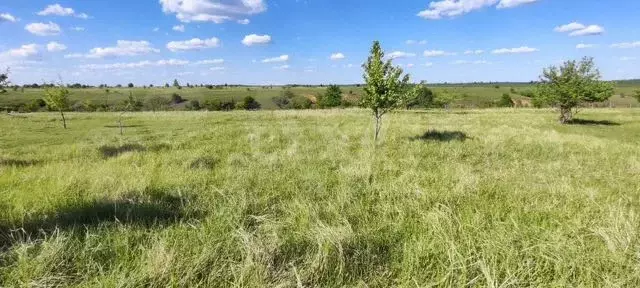 Участок 9 сот. (СНТ, ДНП) - Фото 0