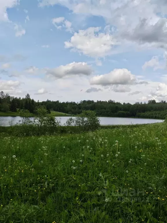Участок в Новгородская область, Демянский муниципальный округ, д. ... - Фото 1