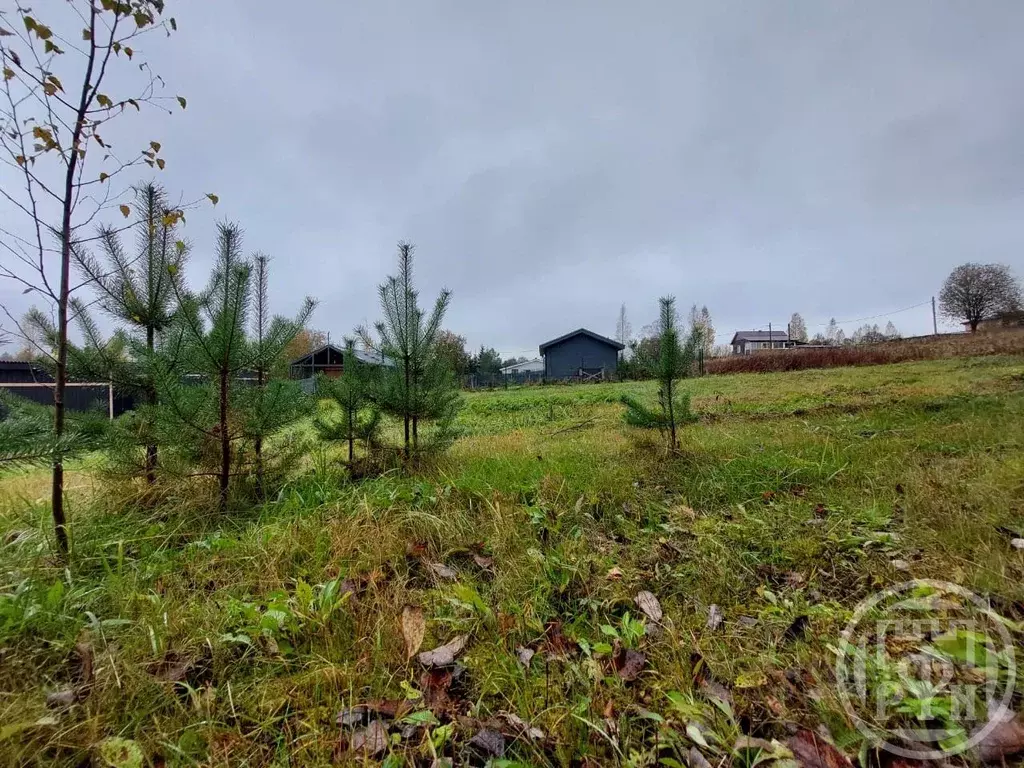 Участок в Ленинградская область, Выборгский район, Первомайское с/пос, ... - Фото 2