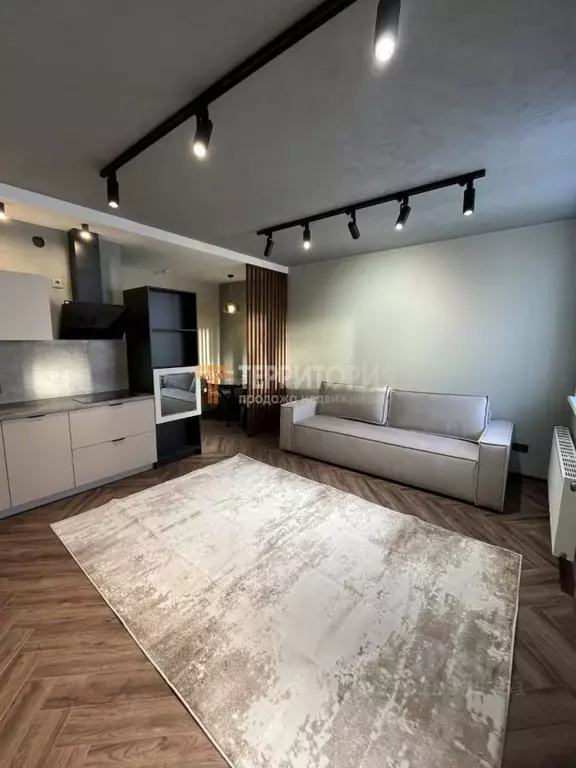 Студия Пермский край, Пермь ул. Максима Горького, 86 (30.0 м) - Фото 2