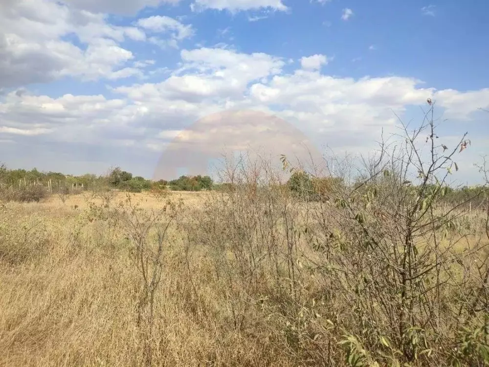 Участок в Крым, Сакский район, с. Митяево ул. Спортивная (6.0 сот.) - Фото 2