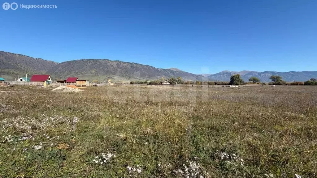 Участок в село Усть-Кокса, улица Нагибина (14.95 м) - Фото 1