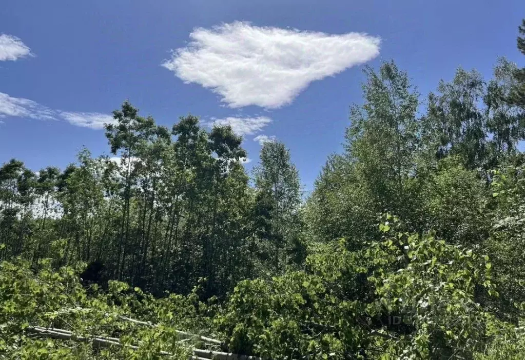 Участок в Иркутская область, Иркутский муниципальный округ, д. ... - Фото 2