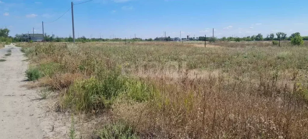 Участок в Ростовская область, Азовский район, Обильненское с/пос, пос. ... - Фото 1