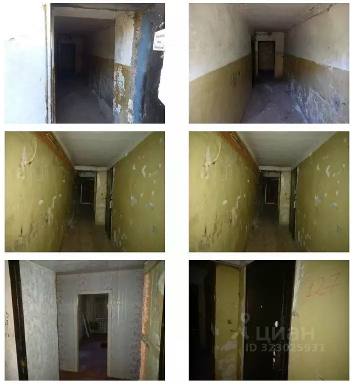 Помещение свободного назначения в Чувашия, Новочебоксарск Молодежная ... - Фото 2