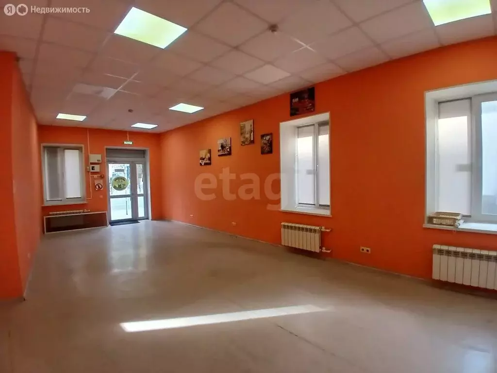 Помещение свободного назначения (45.2 м) - Фото 2