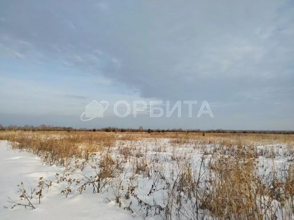 Участок в Тюменская область, Нижнетавдинский район, с. Черепаново ул. ... - Фото 0