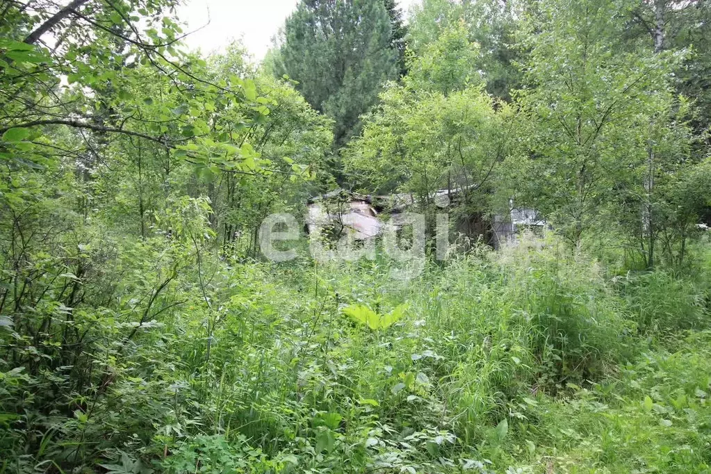Участок 12,7 сот. (СНТ, ДНП) - Фото 0