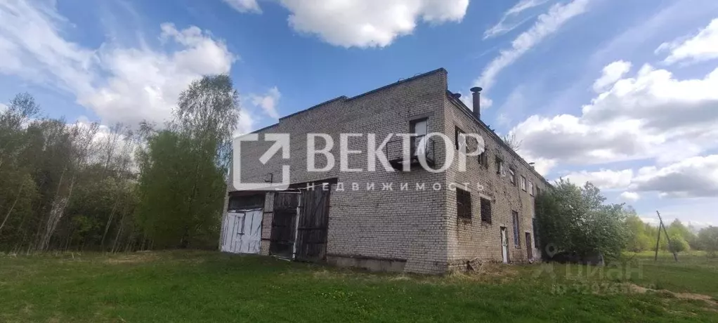Производственное помещение в Ярославская область, Борисоглебский ... - Фото 1
