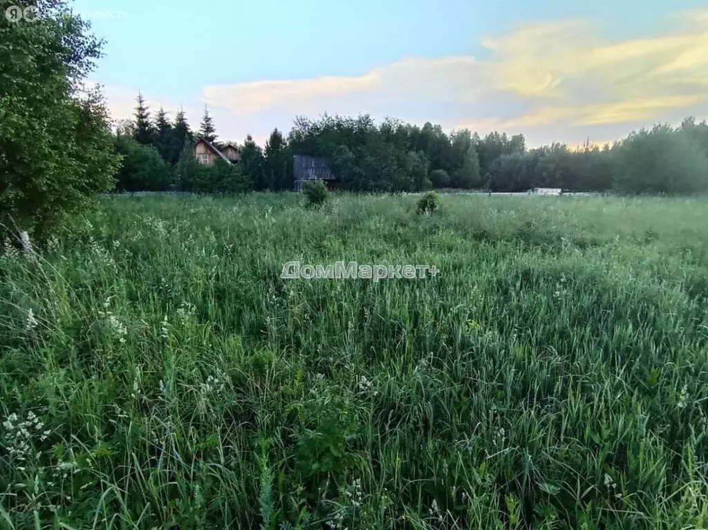 Участок в посёлок Берёзовка, Лесная улица (30 м) - Фото 2