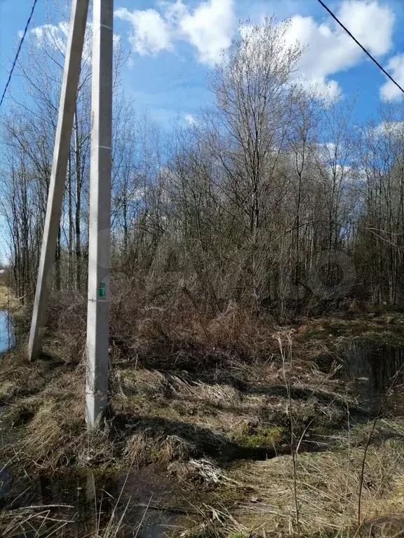 Участок 12 сот. (ИЖС) - Фото 1