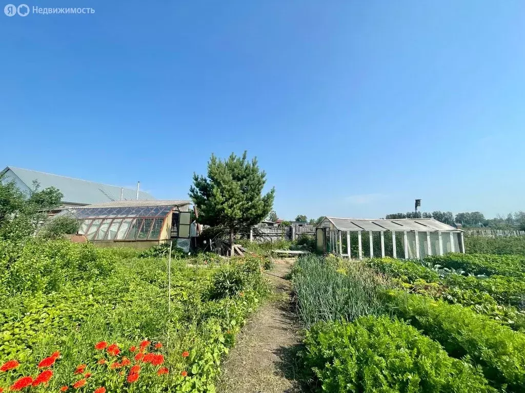 4-комнатная квартира: посёлок Плодопитомник, улица Гайдара, 29 (84 м) - Фото 1