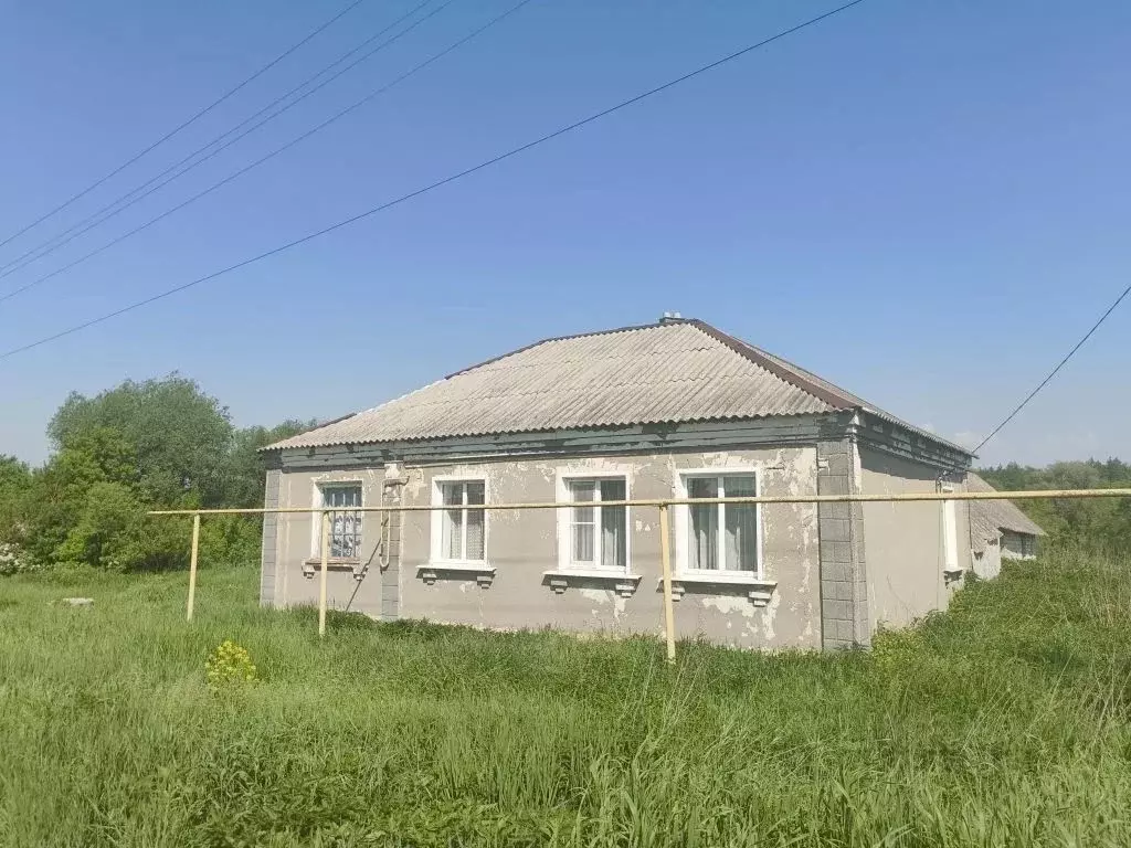 Дом в Воронежская область, Хохольский рп ул. Колхозная (68 м) - Фото 1