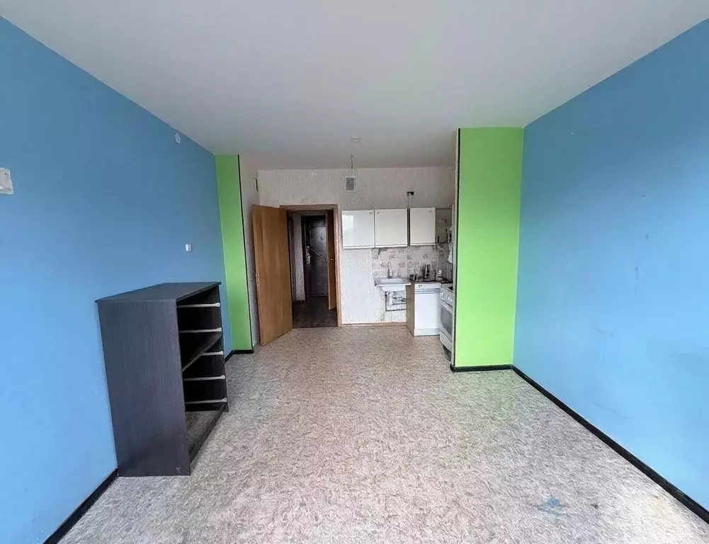 Студия Санкт-Петербург Индустриальный просп., 23 (27.0 м) - Фото 1