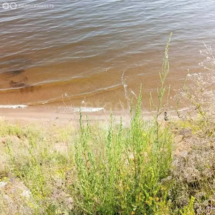 Участок в Чердаклинский район, Белоярское сельское поселение, село ... - Фото 2