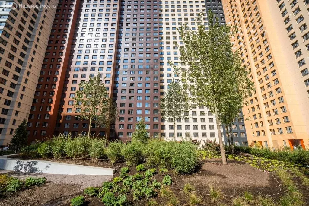 Помещение свободного назначения (4.9 м) - Фото 1