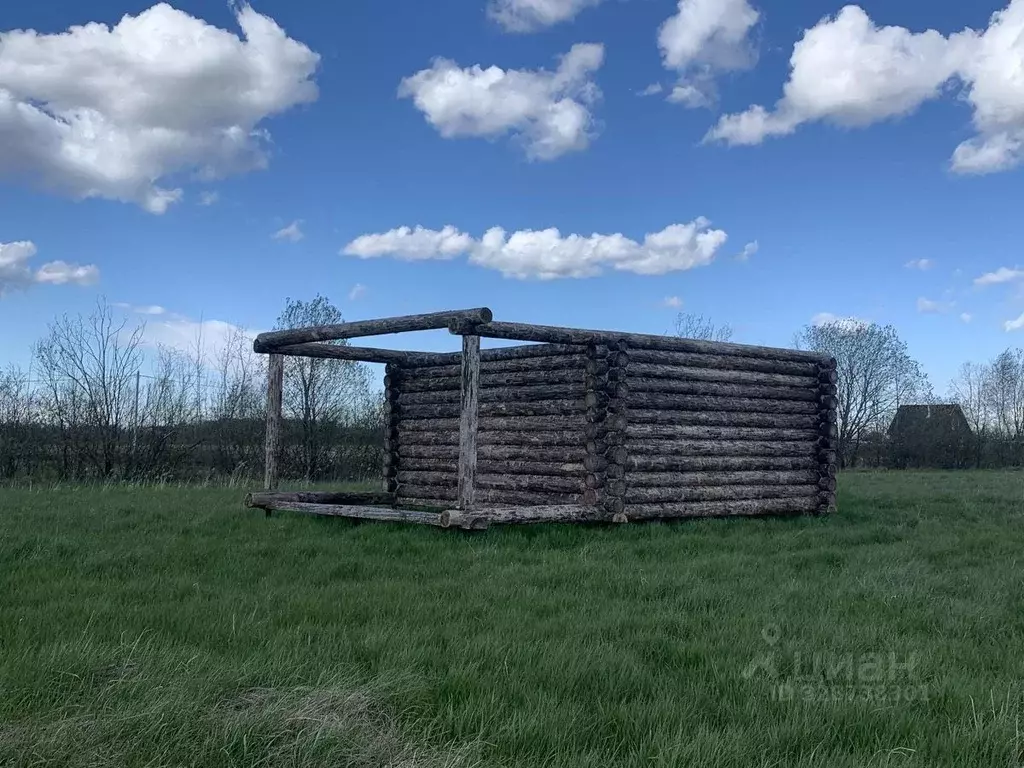 Участок в Новгородская область, Новгородский район, Борковское с/пос, ... - Фото 2