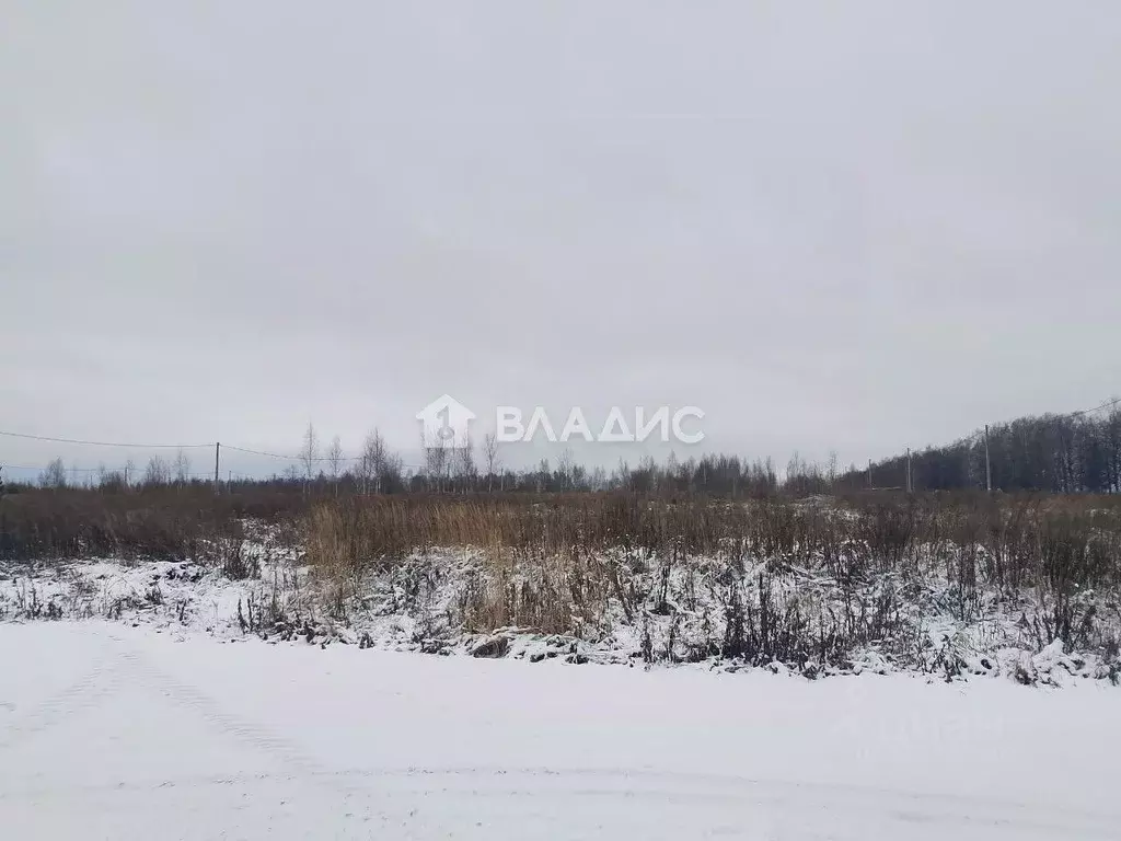 Участок в Нижегородская область, с. Безводное  (10.0 сот.) - Фото 2