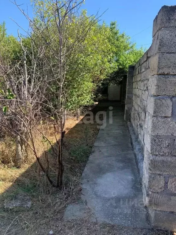 Участок в Крым, Черноморский район, с. Новосельское, Мечта-1 СНТ 69 ... - Фото 1